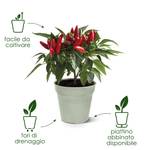 green basics growpot 30cm verde pietra